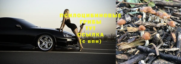 прущая мука Богородицк
