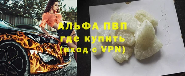 метадон Богданович