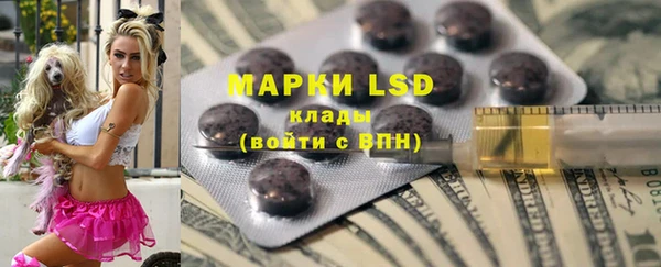 ГАЛЛЮЦИНОГЕННЫЕ ГРИБЫ Белокуриха